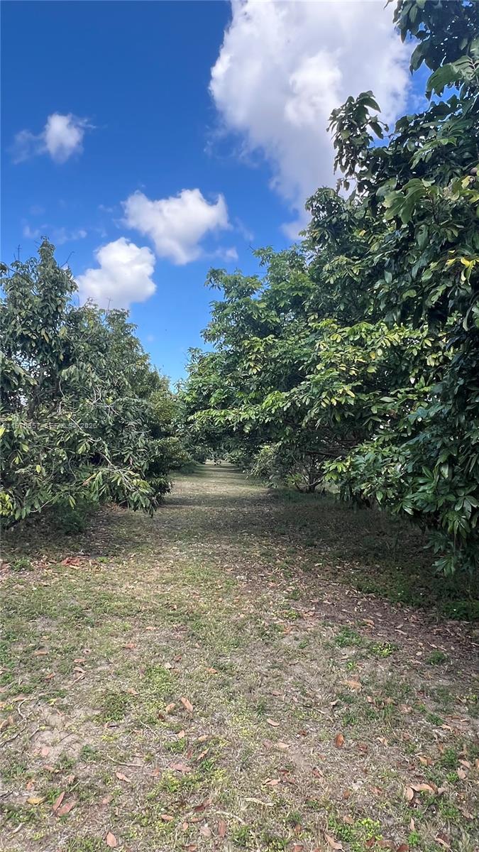   /   кв.футов $ 2026-02-23 0 Фото