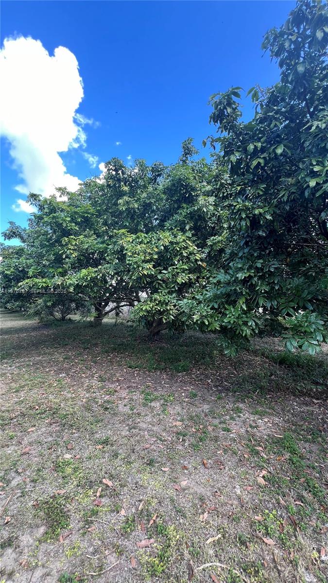   /   кв.футов $ 2026-02-23 0 Фото