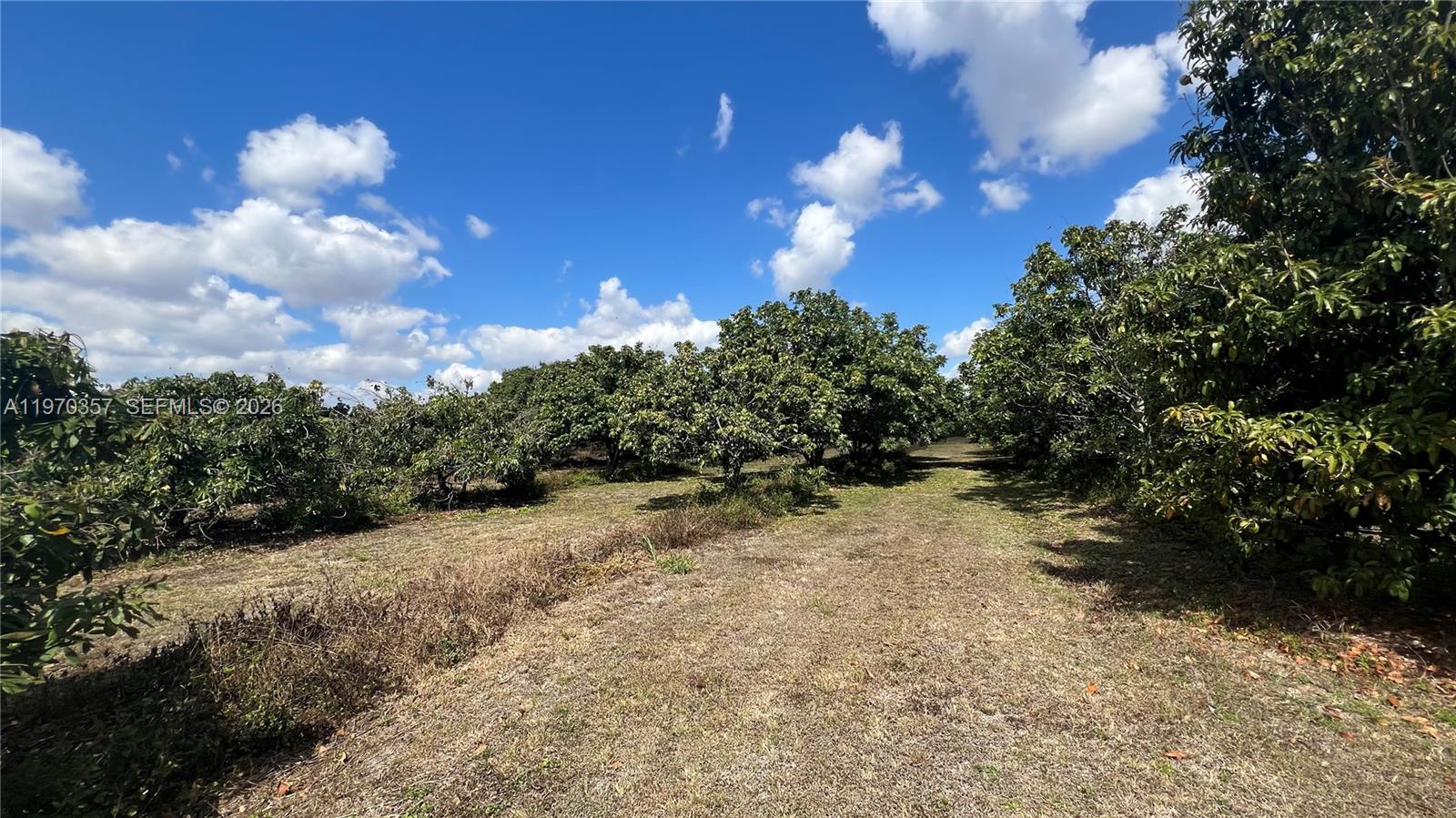   /   кв.футов $ 2026-02-23 0 Фото