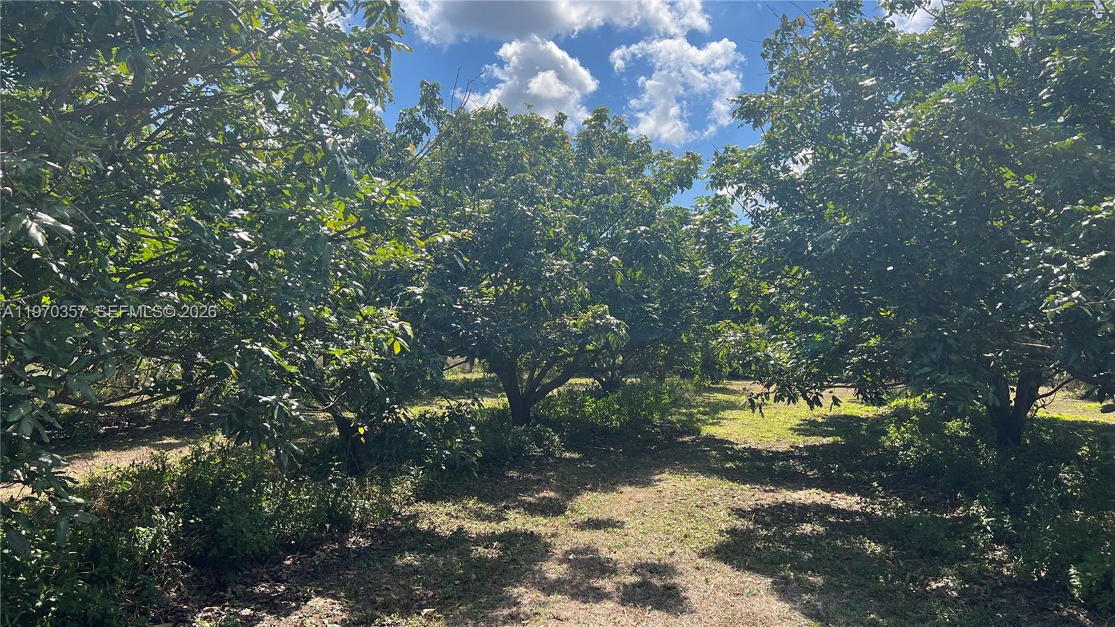   /   кв.футов $ 2026-02-23 0 Фото