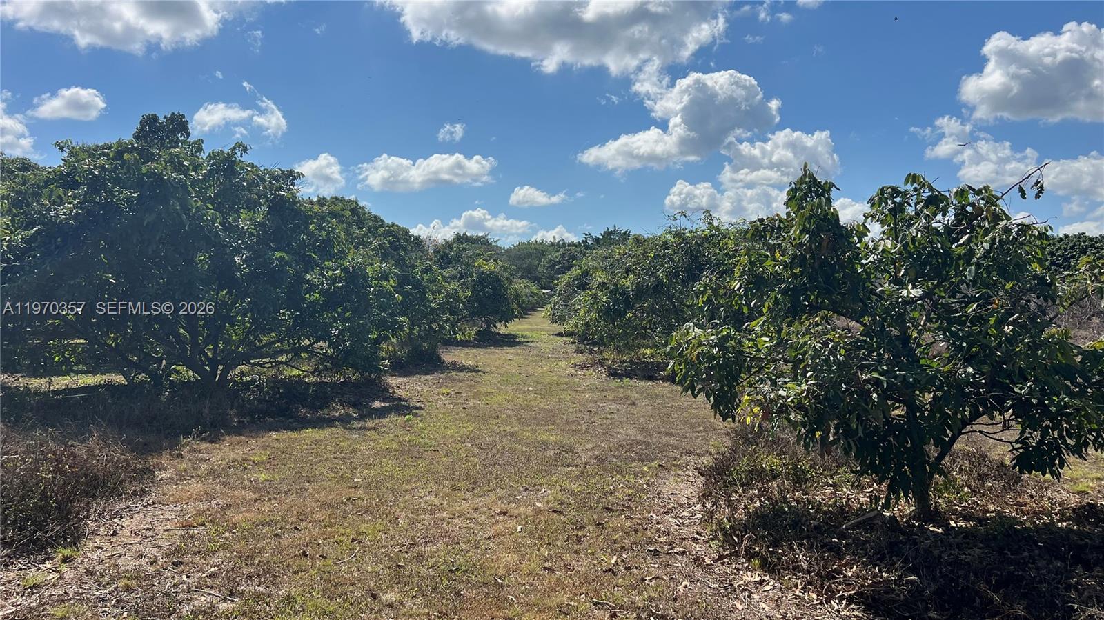   /   кв.футов $ 2026-02-23 0 Фото