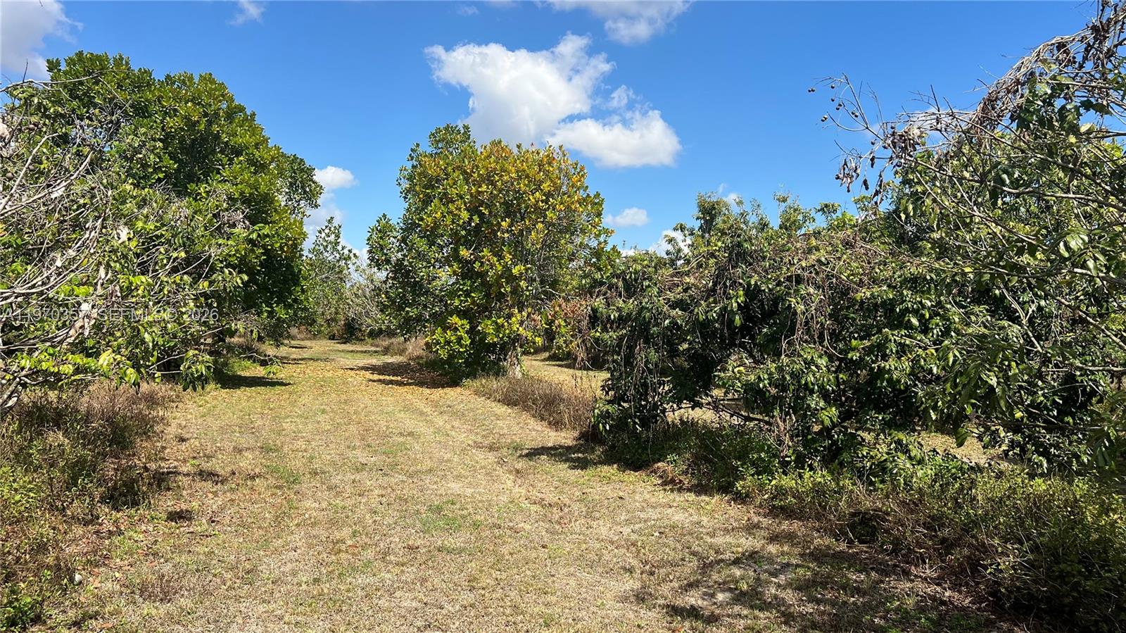   /   кв.футов $ 2026-02-23 0 Фото