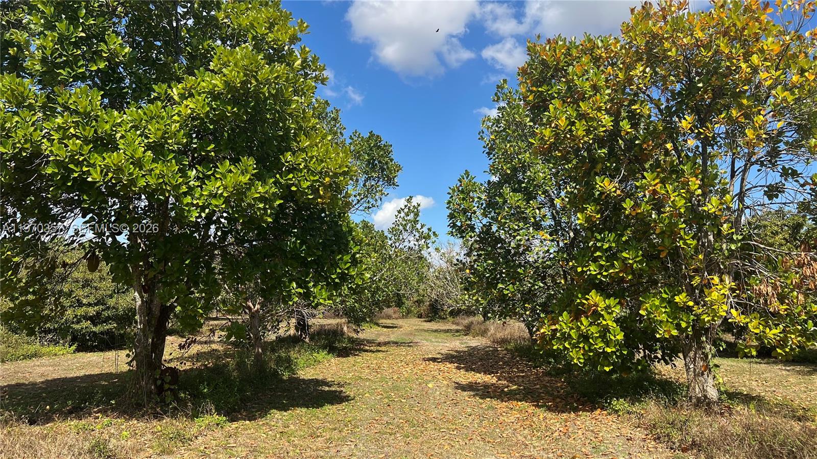   /   кв.футов $ 2026-02-23 0 Фото