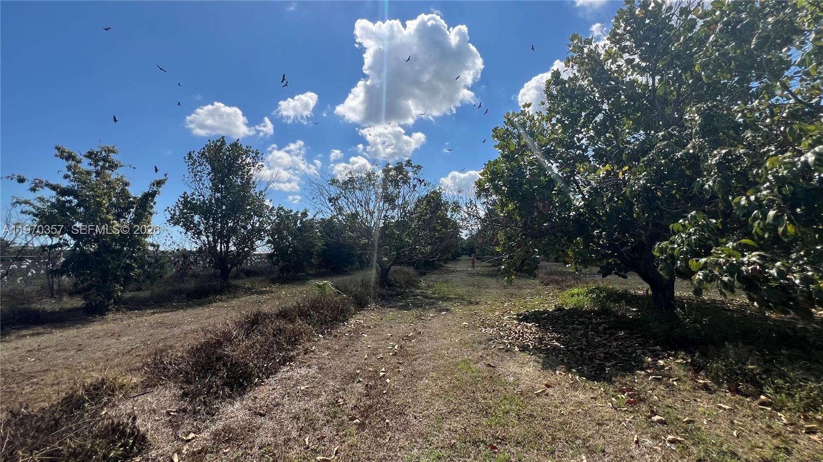   /   кв.футов $ 2026-02-23 0 Фото