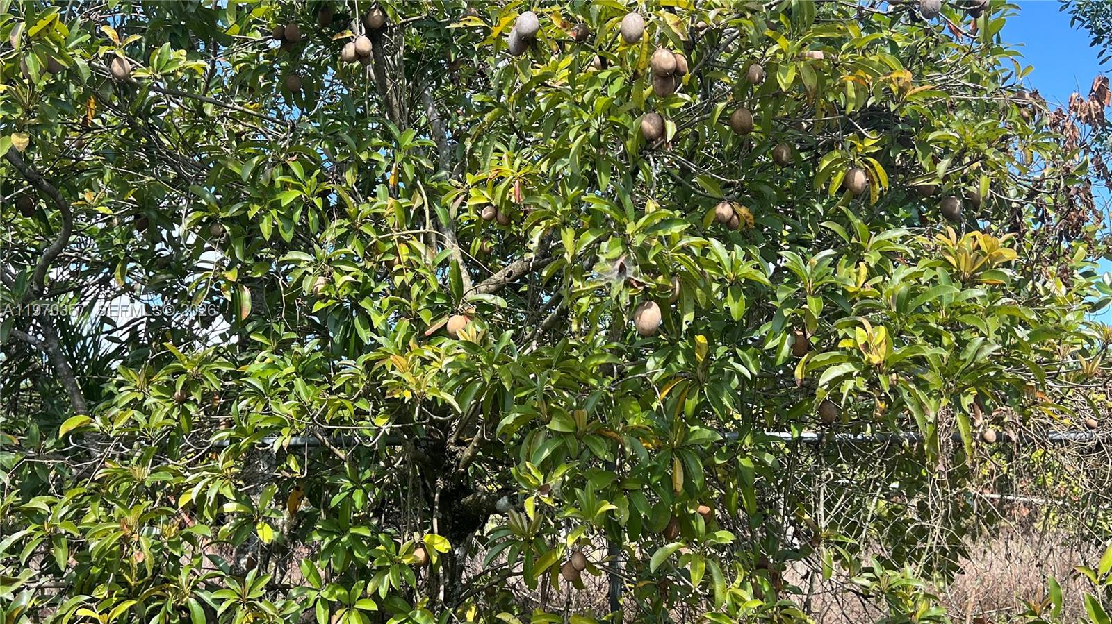   /   кв.футов $ 2026-02-23 0 Фото