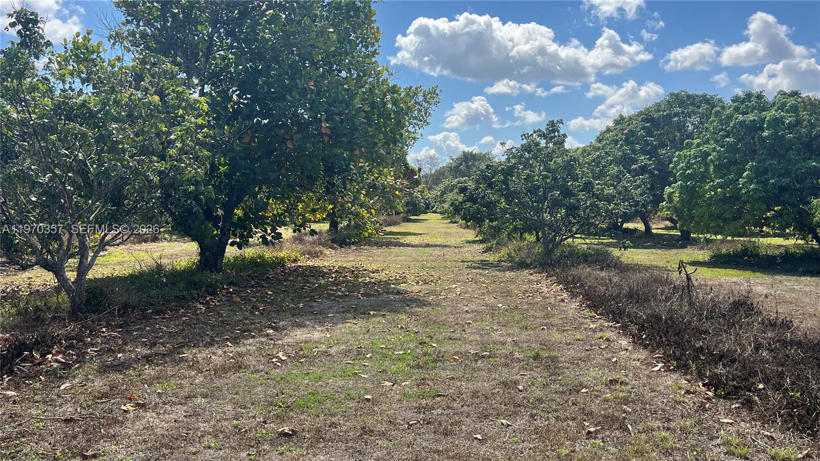   /   кв.футов $ 2026-02-23 0 Фото