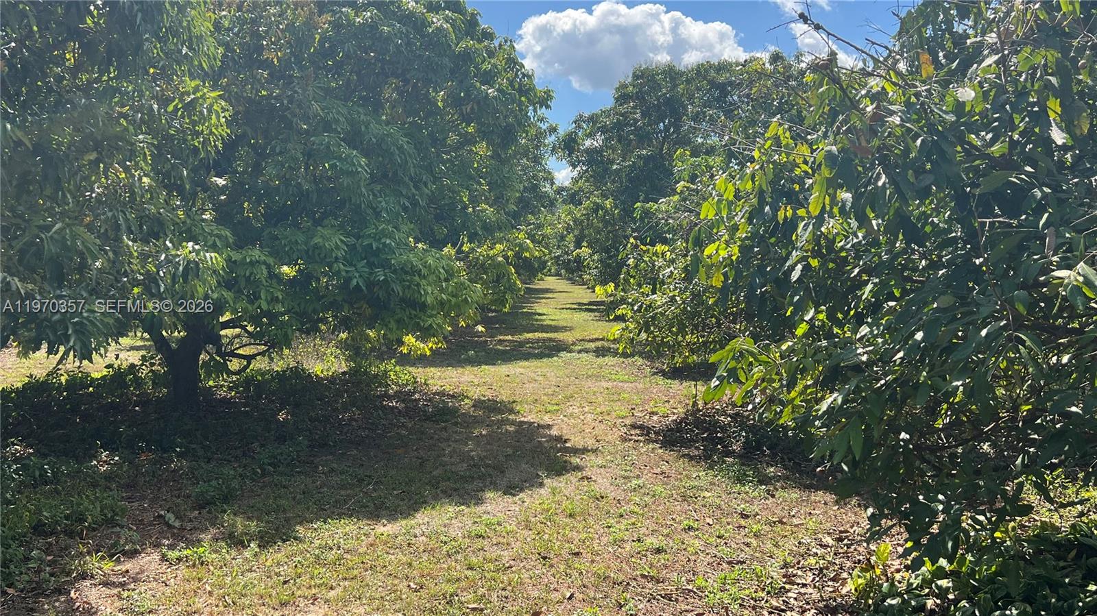   /   кв.футов $ 2026-02-23 0 Фото