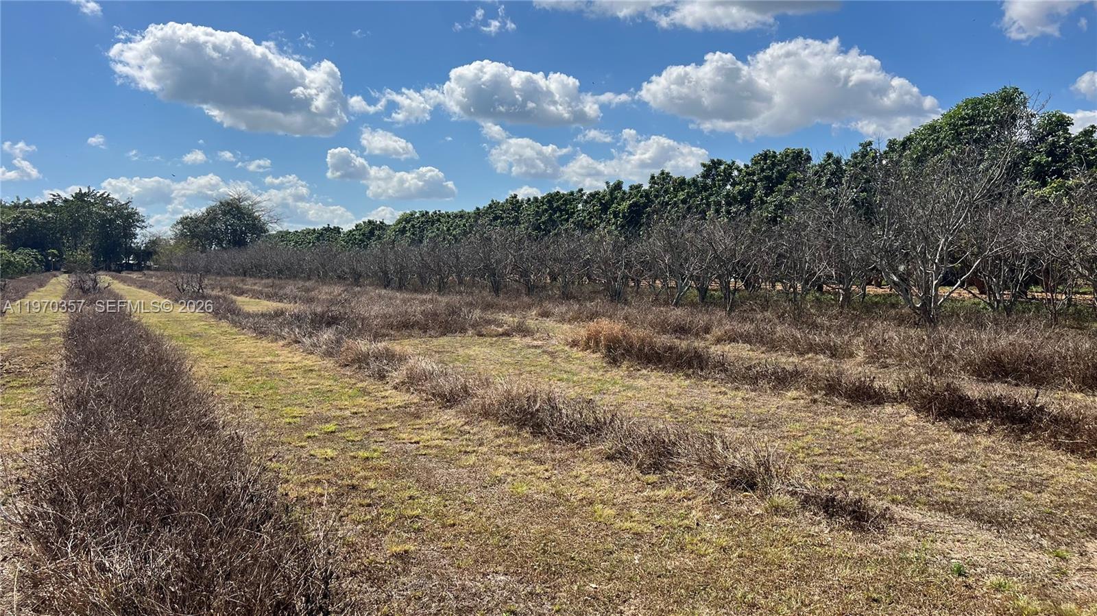   /   кв.футов $ 2026-02-23 0 Фото