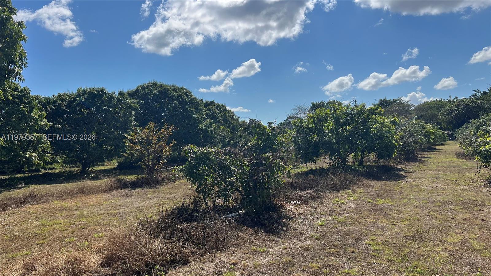   /   кв.футов $ 2026-02-23 0 Фото