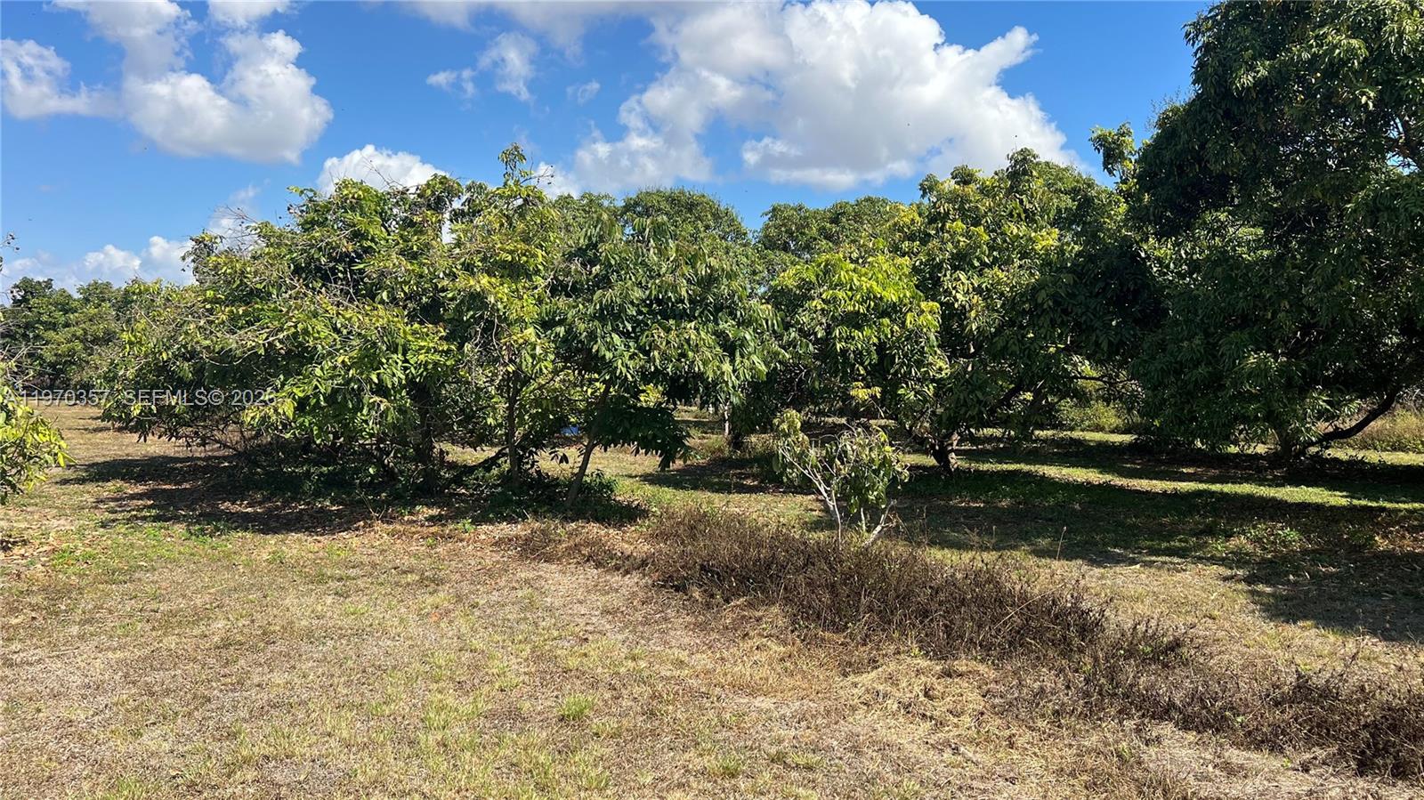   /   кв.футов $ 2026-02-23 0 Фото