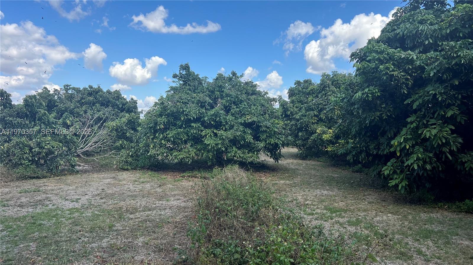   /   кв.футов $ 2026-02-23 0 Фото