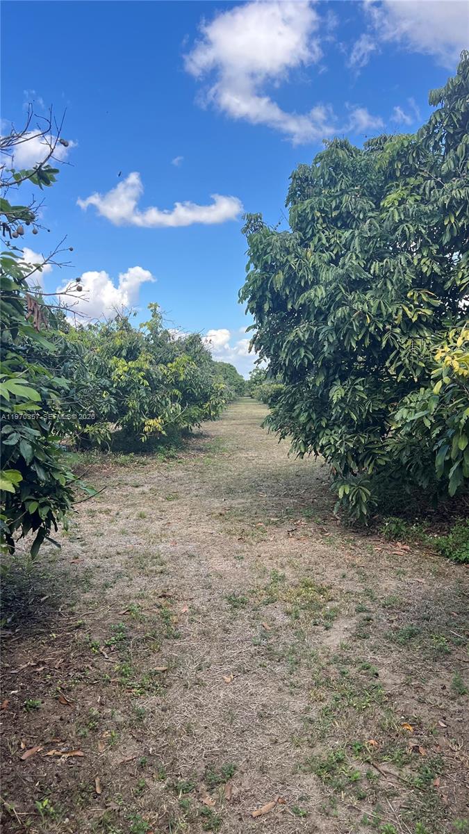   /   кв.футов $ 2026-02-23 0 Фото