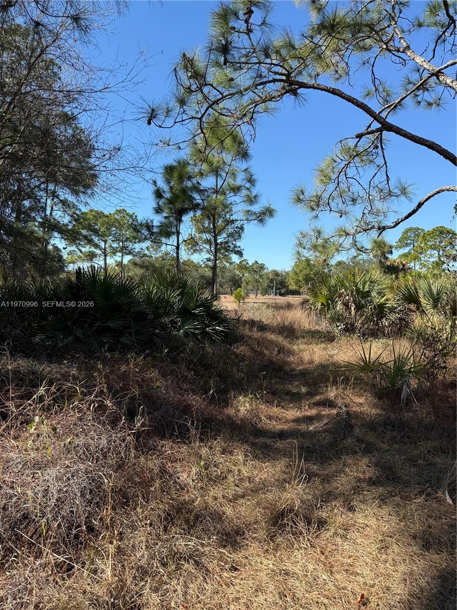 See details / sq. ft. $ 2026-02-24 0 Photo