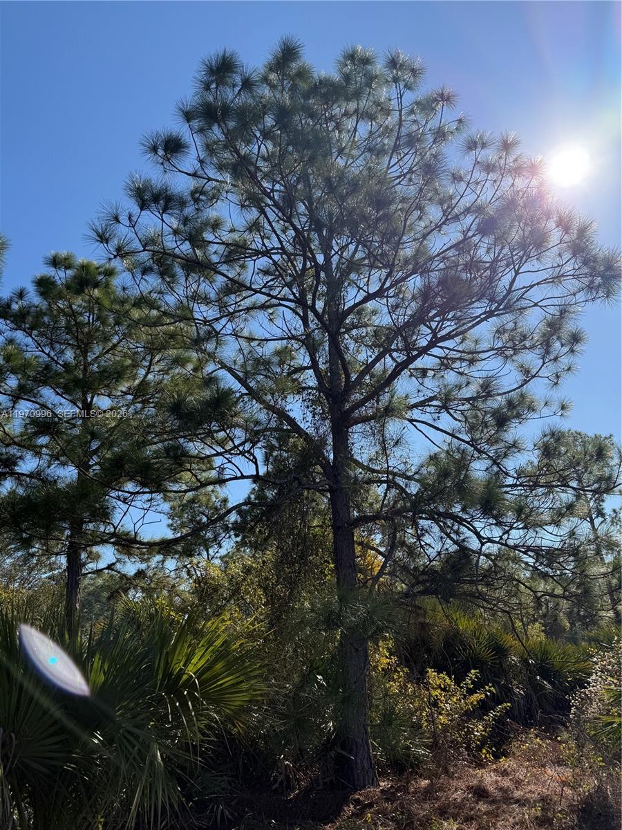 See details / sq. ft. $ 2026-02-24 0 Photo