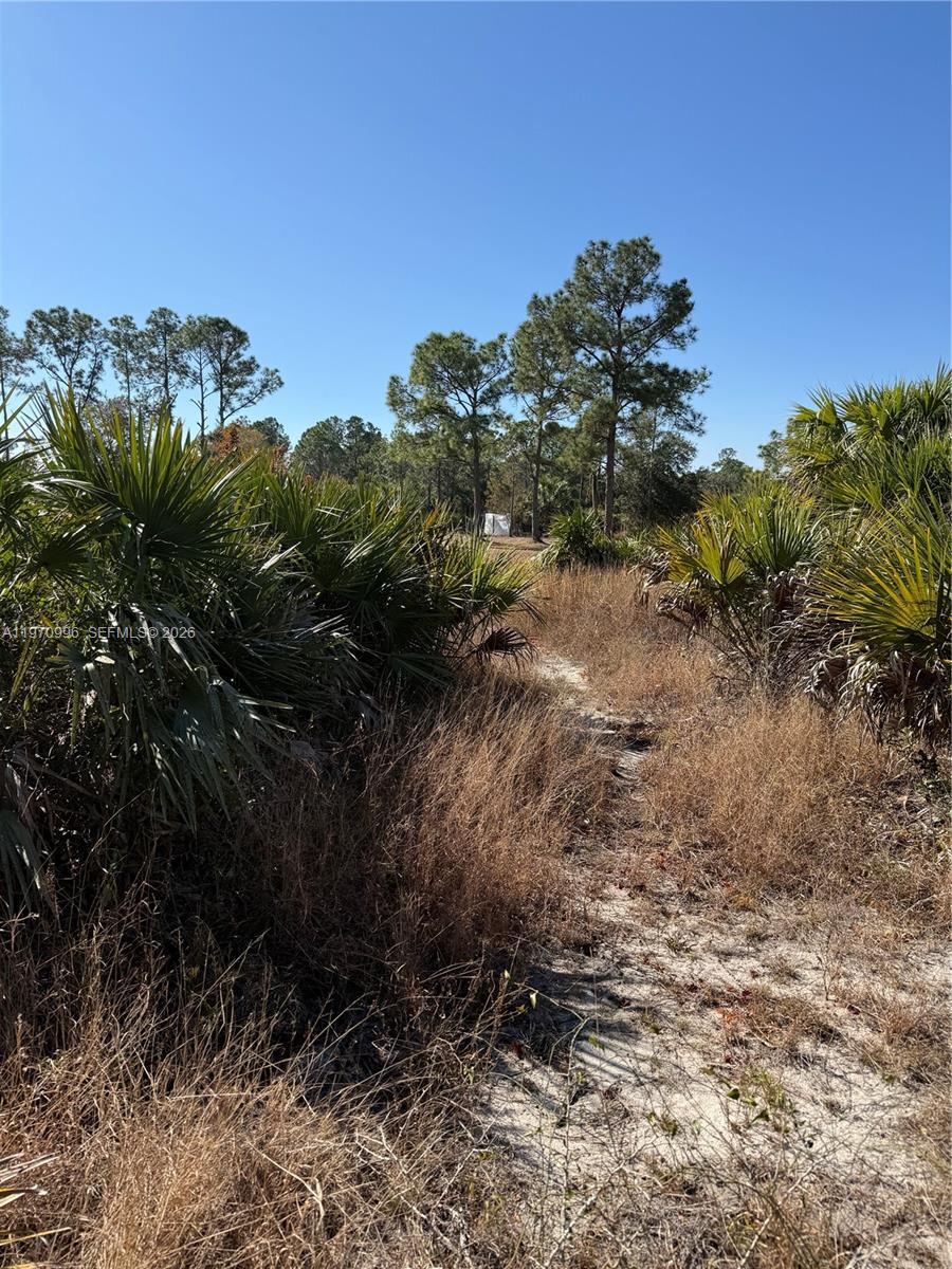 See details / sq. ft. $ 2026-02-24 0 Photo