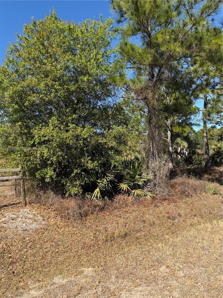 See details / sq. ft. $ 2026-02-24 0 Photo