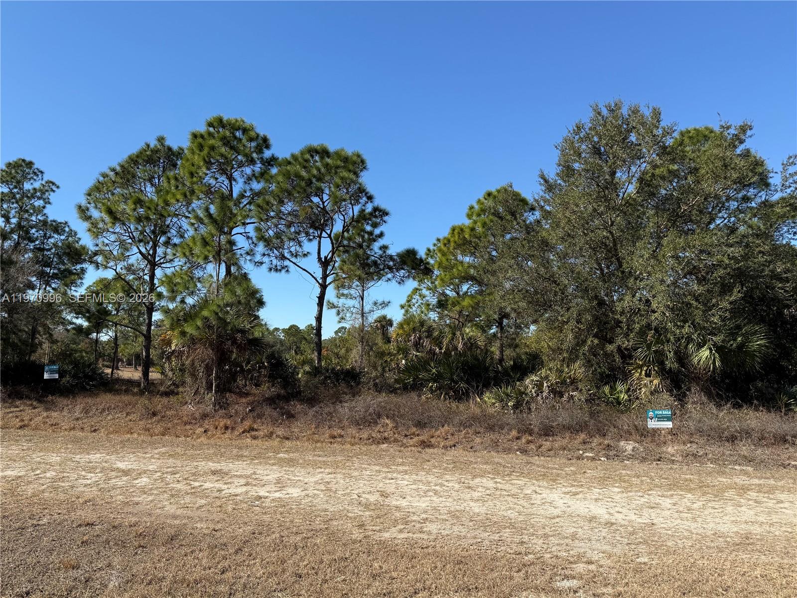 See details / sq. ft. $ 2026-02-24 0 Photo