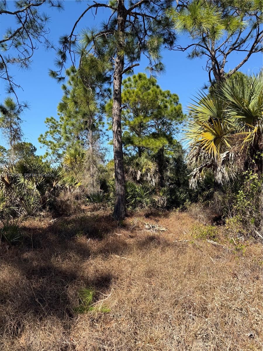 See details / sq. ft. $ 2026-02-24 0 Photo