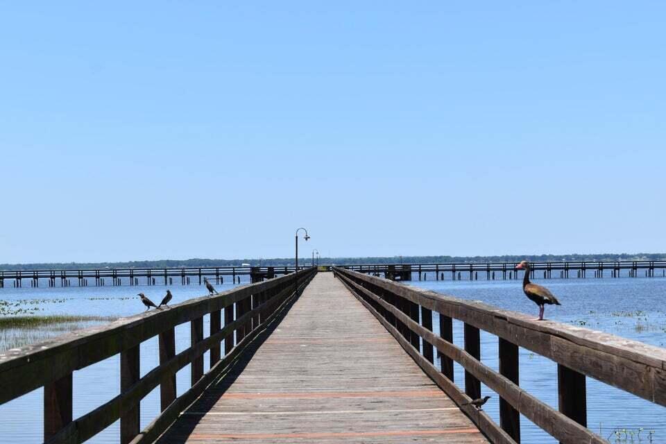   / 0  sq. ft. $ 2026-06-19 0 Photo