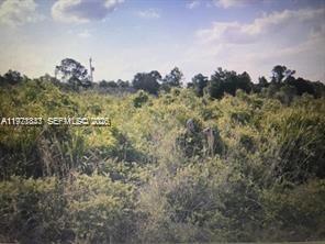   /   sq. ft. $ 2026-06-01 0 Photo