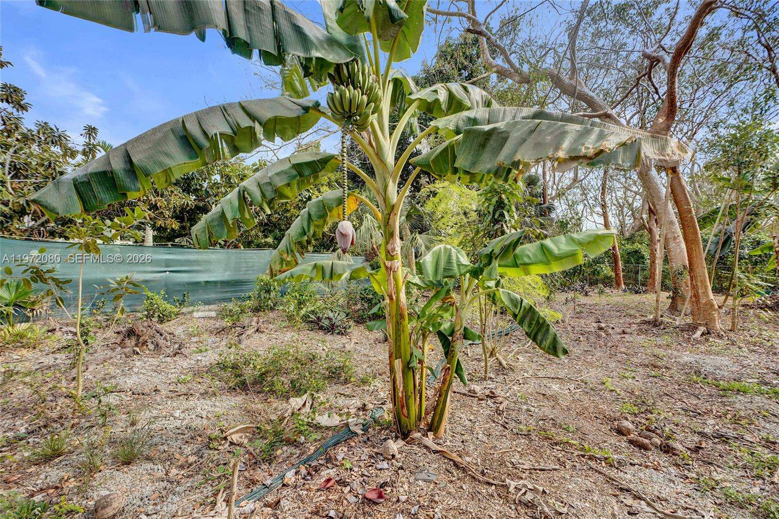   /   sq. ft. $ 2026-02-25 0 foto