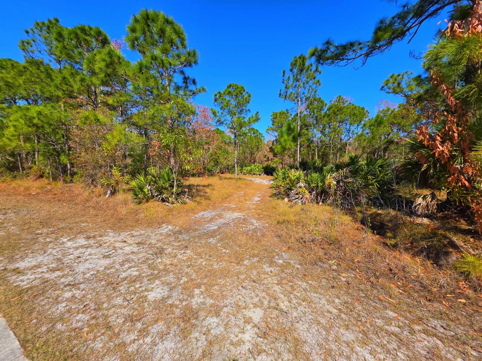   / 0  sq. ft. $ 2026-06-15 0 foto