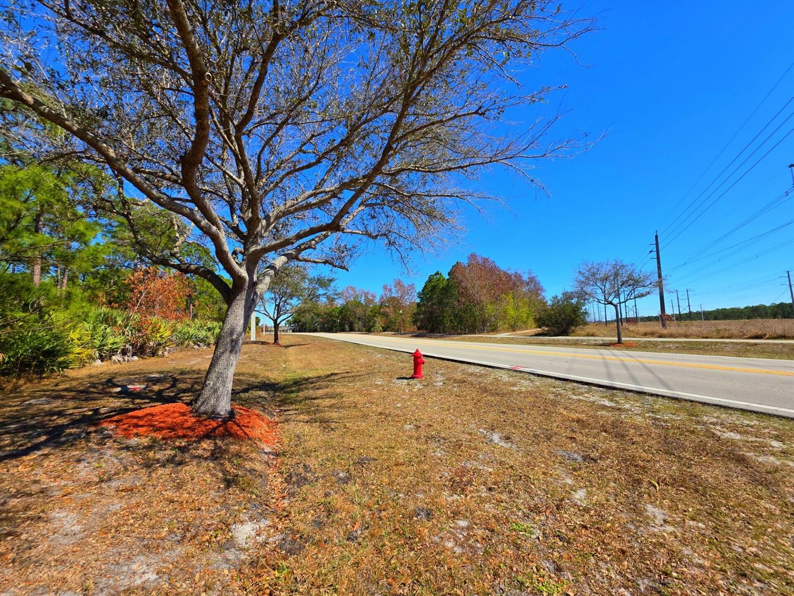   / 0  sq. ft. $ 2026-06-15 0 foto