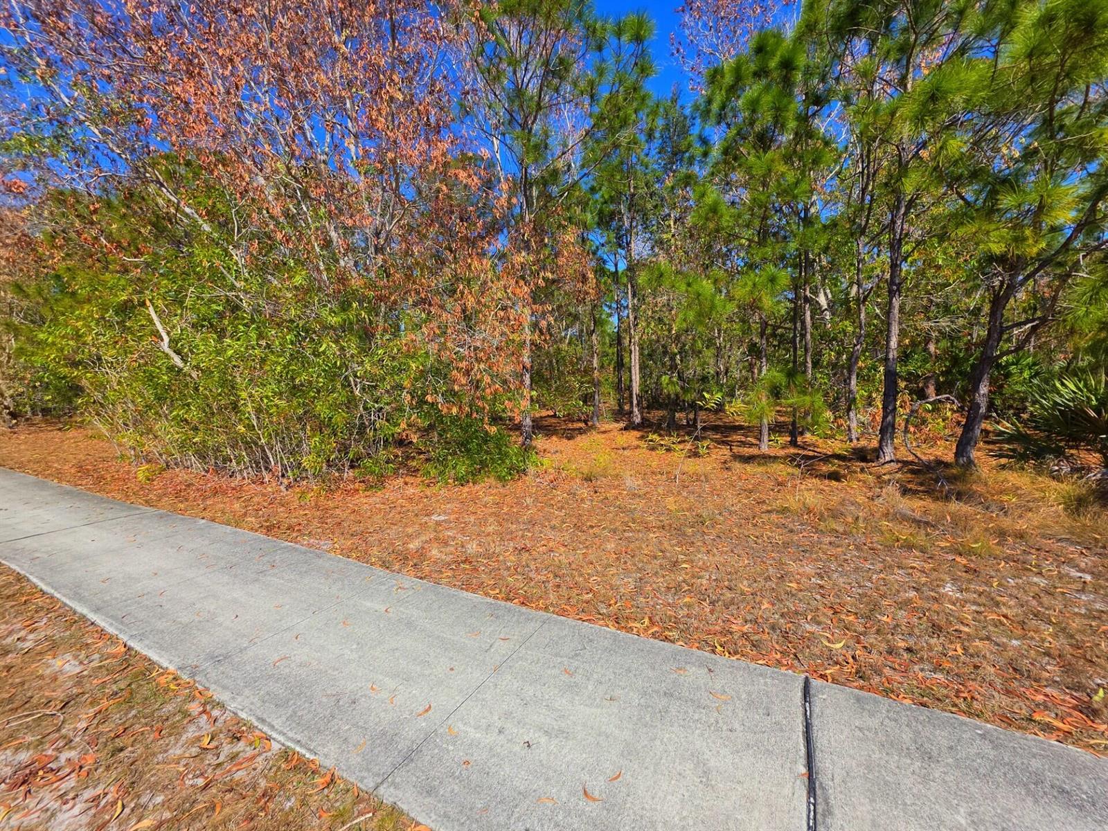   / 0  sq. ft. $ 2026-06-15 0 foto