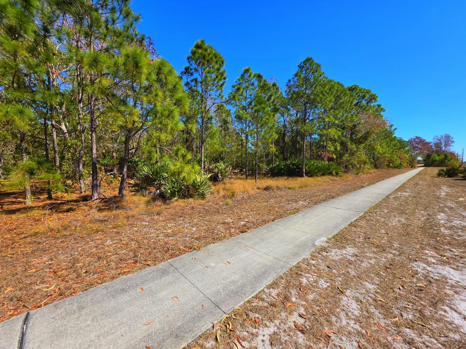   / 0  sq. ft. $ 2026-06-15 0 foto