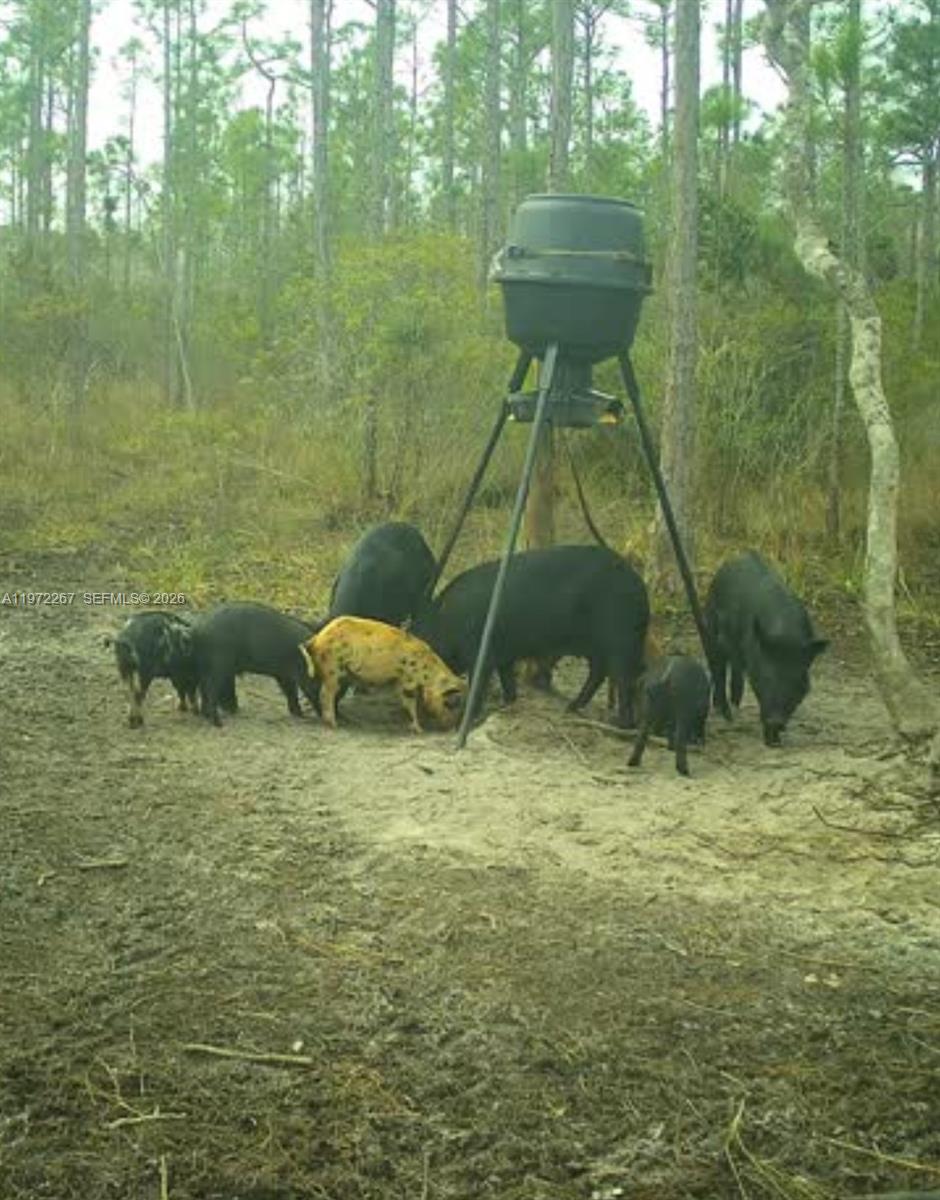   /   sq. ft. $ 2026-02-25 0 foto