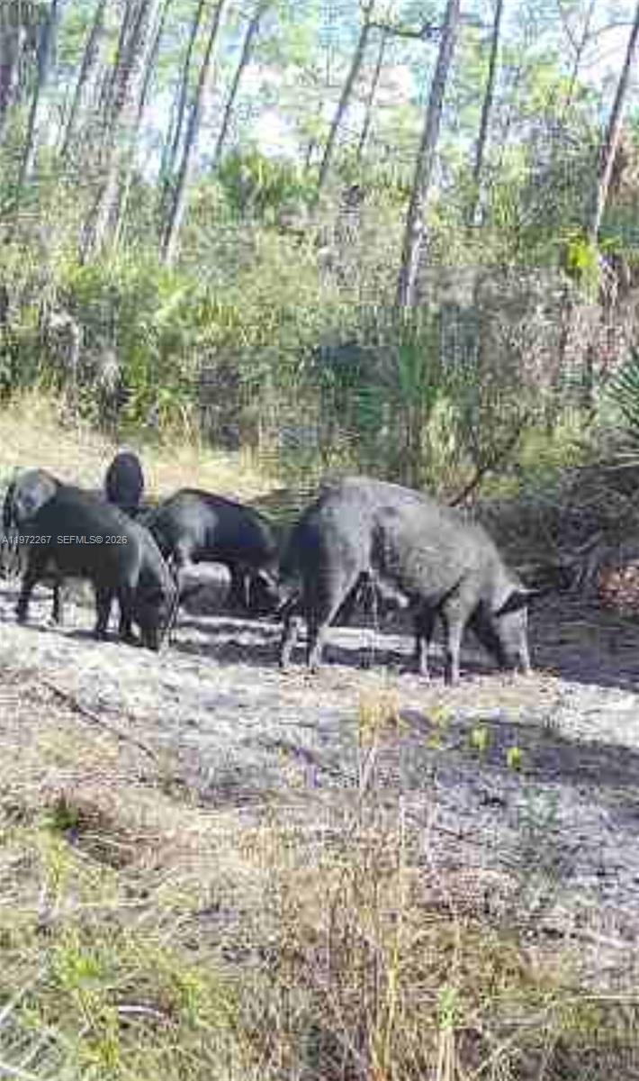   /   sq. ft. $ 2026-02-25 0 foto