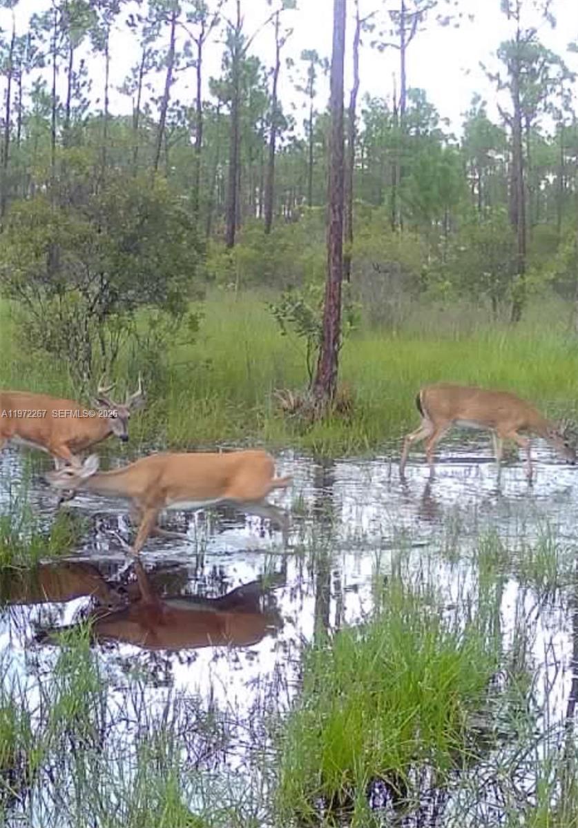   /   sq. ft. $ 2026-02-25 0 foto