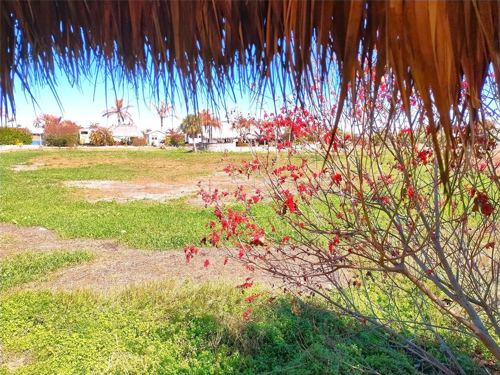 Ver detalles / 0 sq. ft. $ 2026-06-15 0 foto