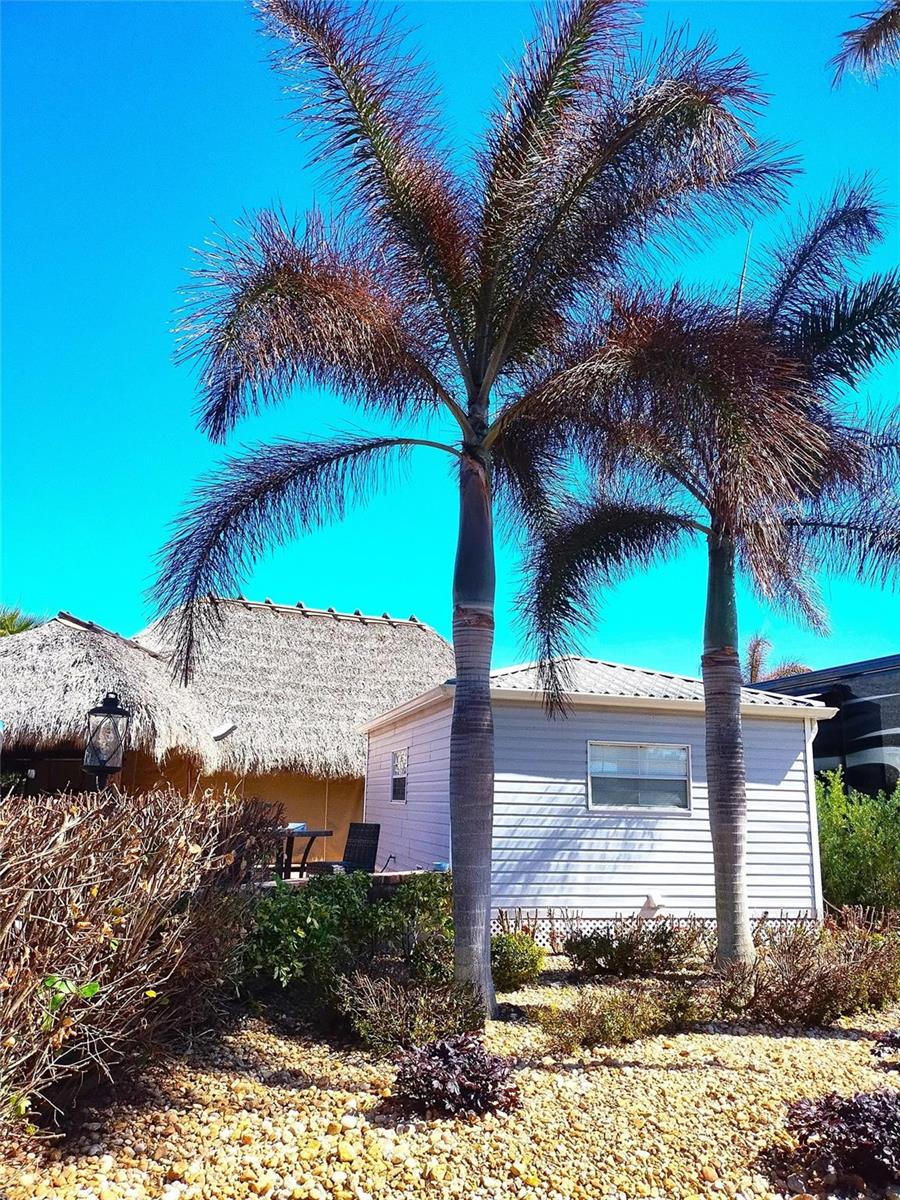 Ver detalles / 0 sq. ft. $ 2026-06-15 0 foto