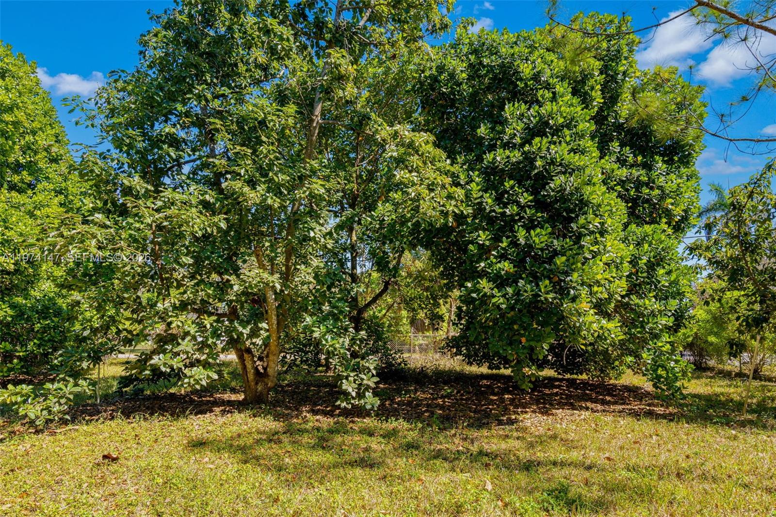   /   кв.футов $ 2026-03-01 0 Фото