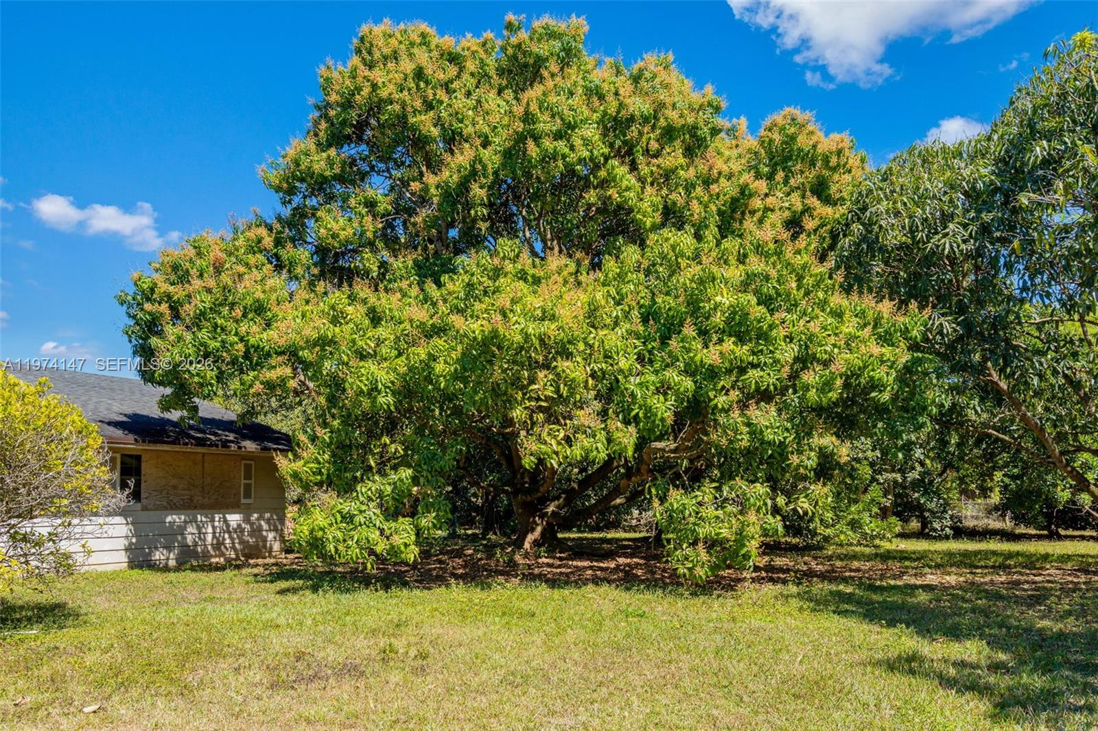   /   кв.футов $ 2026-03-01 0 Фото