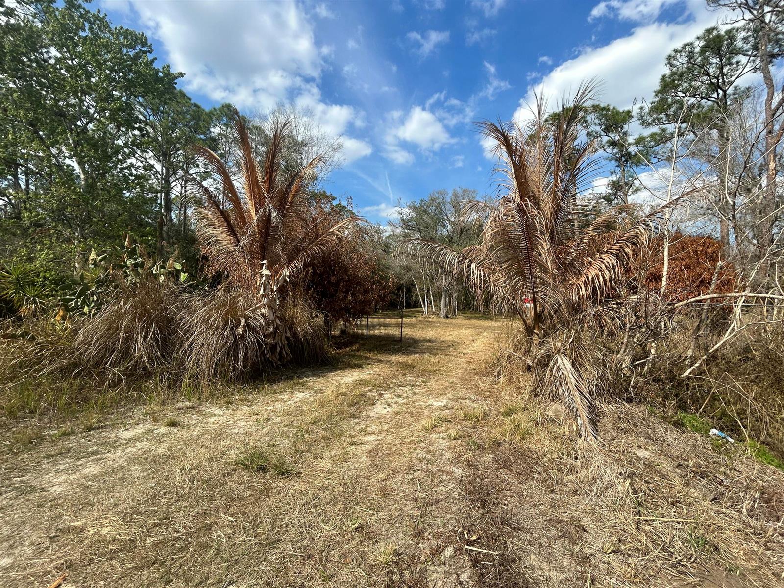   / 0  sq. ft. $ 2026-07-24 0 Photo