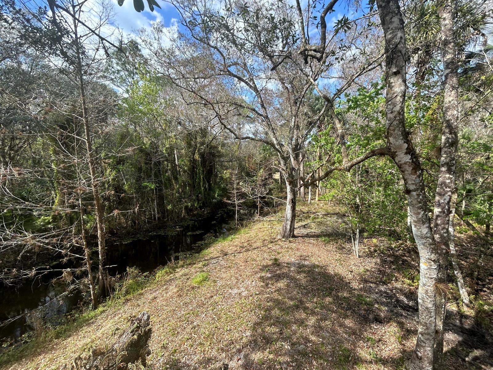   / 0  sq. ft. $ 2026-07-24 0 Photo