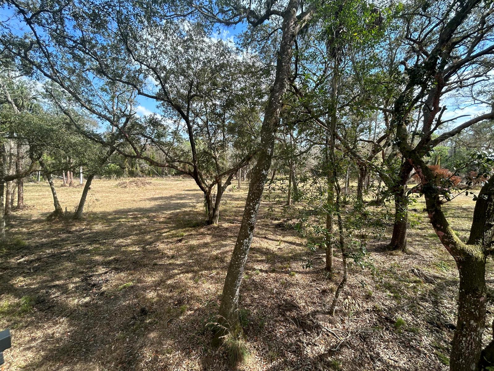   / 0  sq. ft. $ 2026-07-24 0 Photo