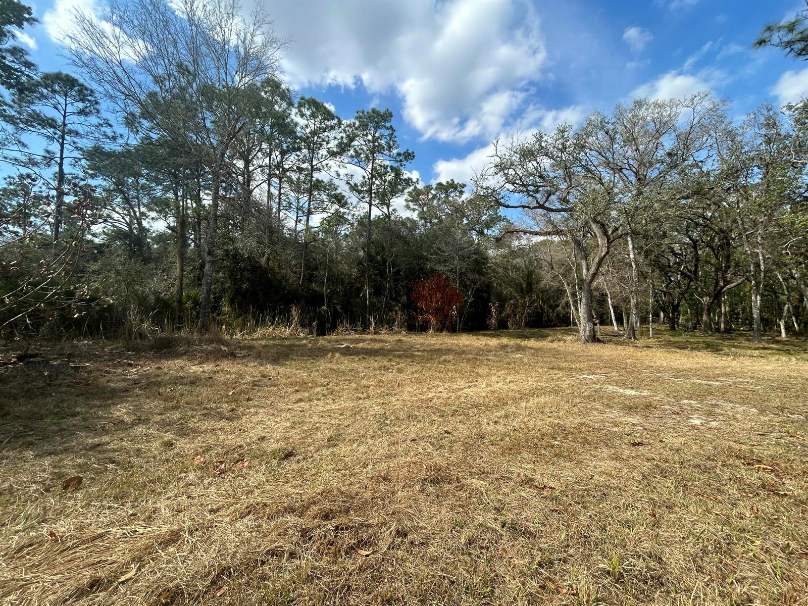   / 0  sq. ft. $ 2026-07-24 0 Photo