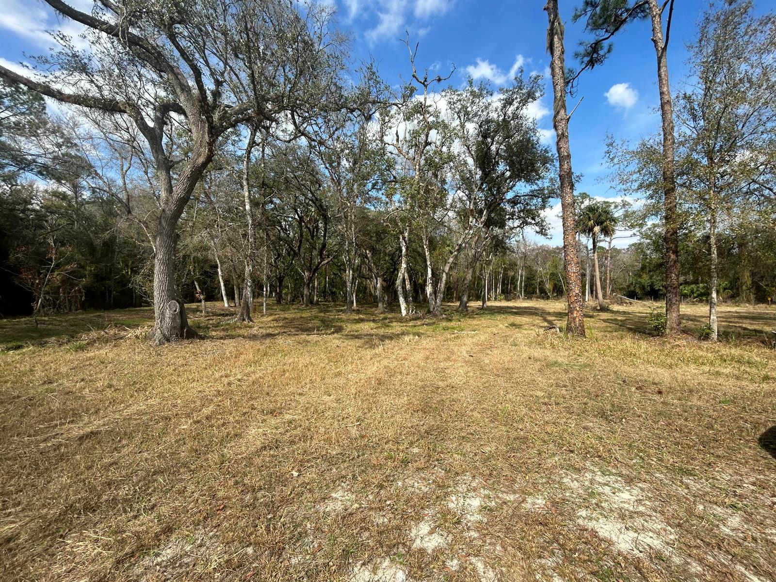   / 0  sq. ft. $ 2026-07-24 0 Photo