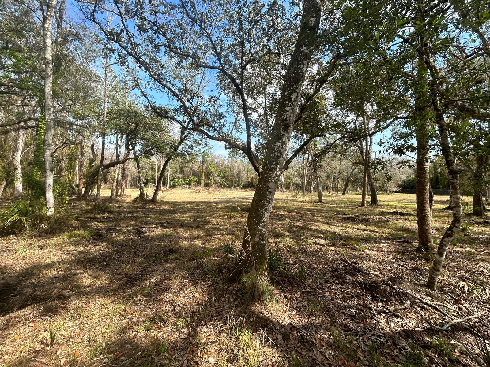   / 0  sq. ft. $ 2026-07-24 0 Photo