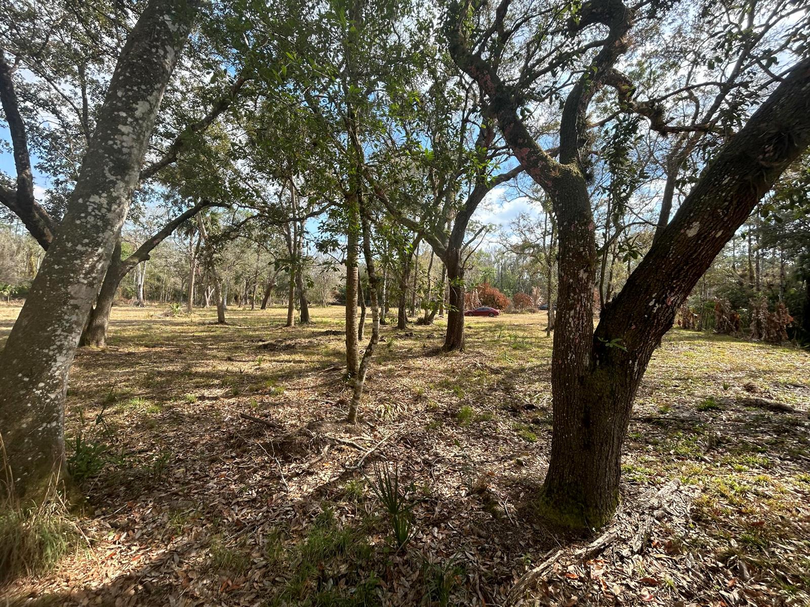   / 0  sq. ft. $ 2026-07-24 0 Photo