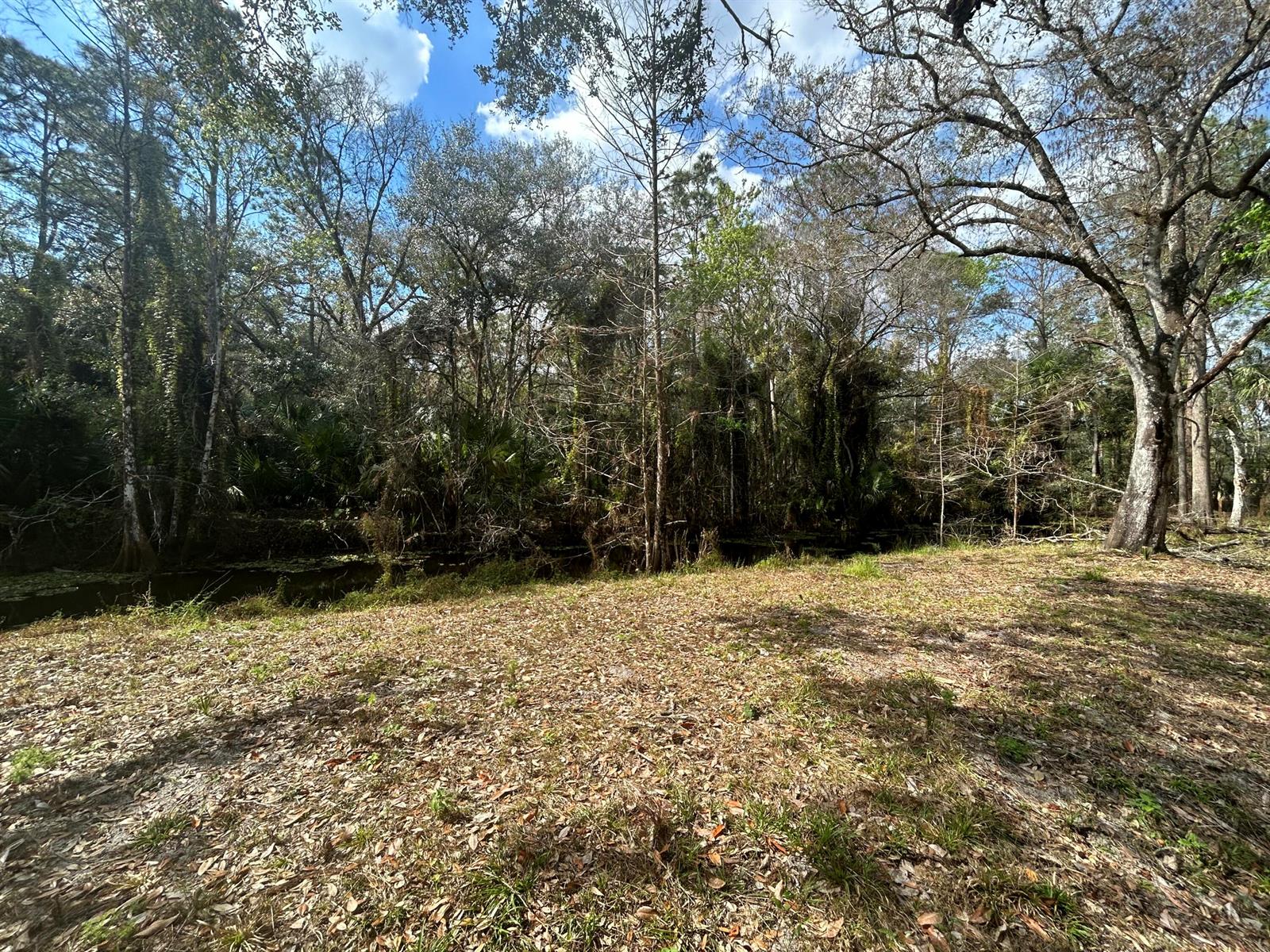   / 0  sq. ft. $ 2026-07-24 0 Photo