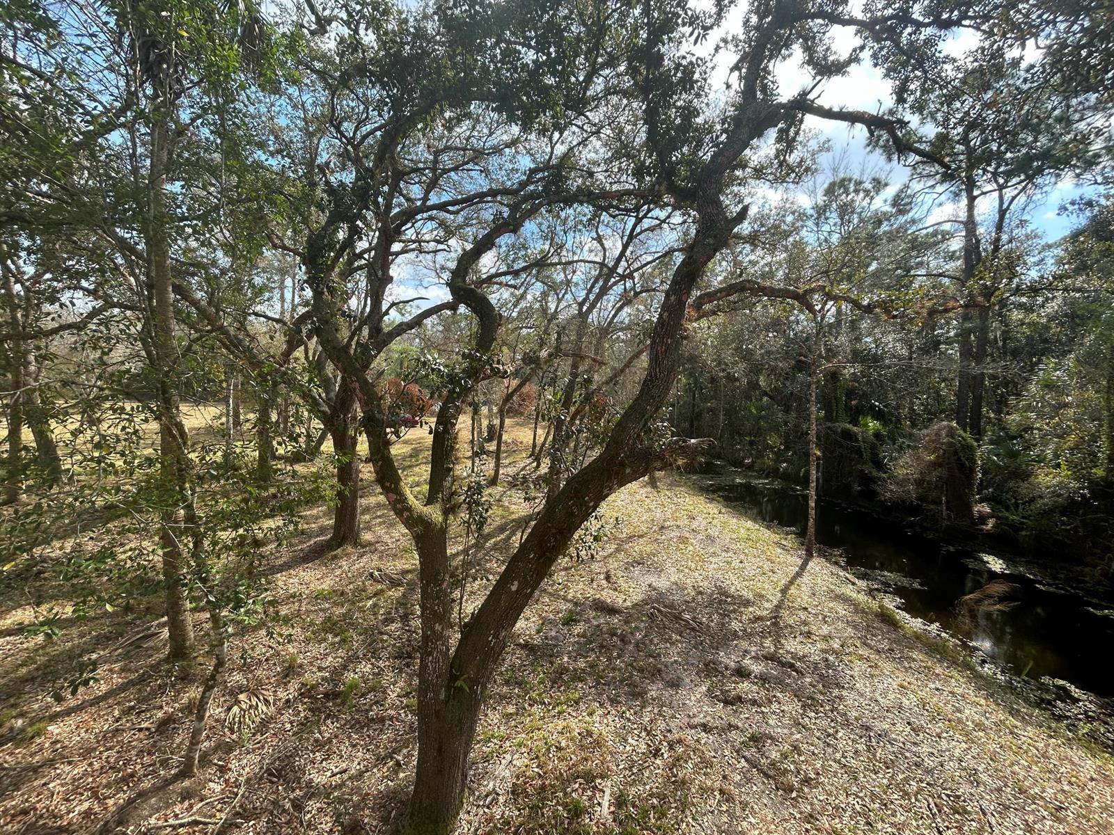  / 0  sq. ft. $ 2026-07-24 0 Photo