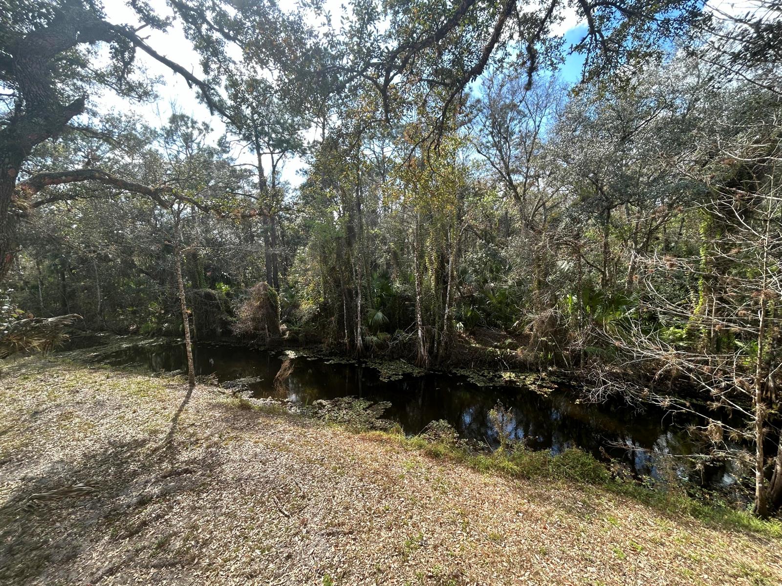   / 0  sq. ft. $ 2026-07-24 0 Photo