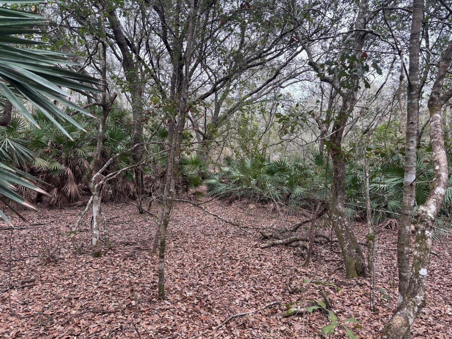   / 0  sq. ft. $ 2026-06-19 0 Photo
