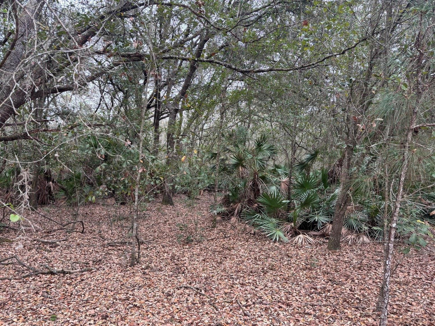   / 0  sq. ft. $ 2026-06-19 0 Photo