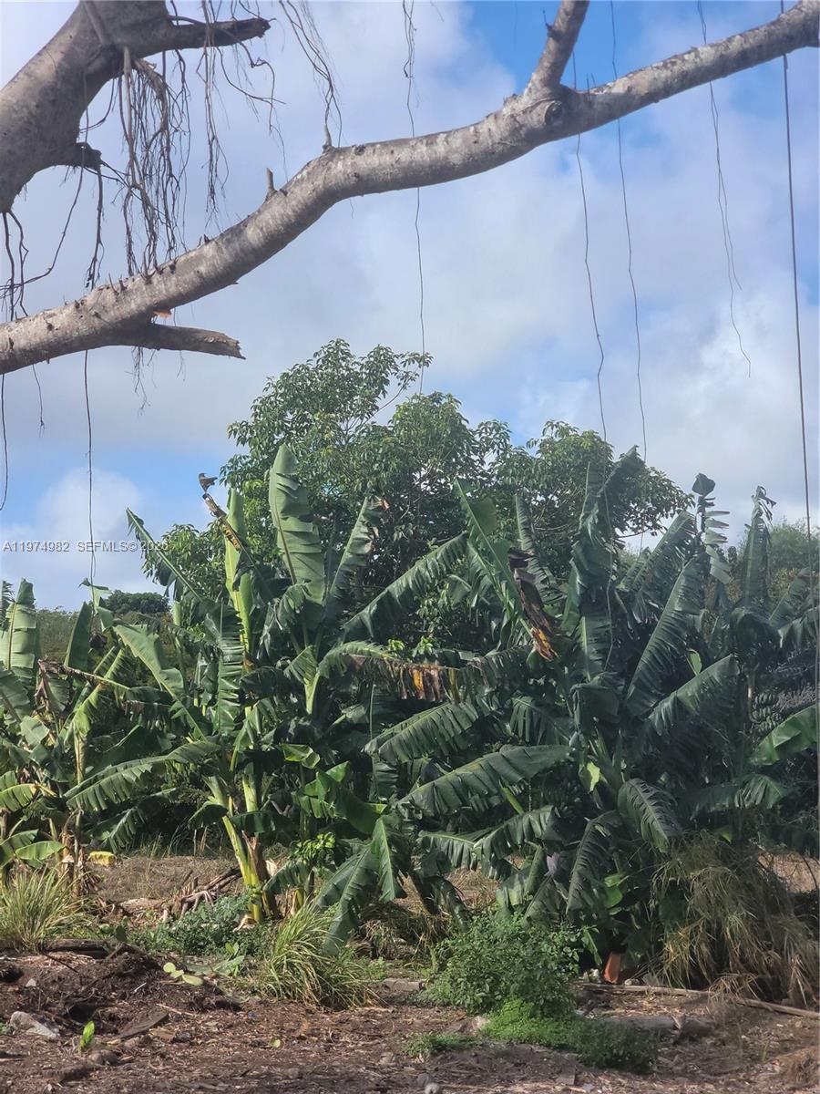 Подробнее / кв.футов $ 2026-03-02 0 Фото