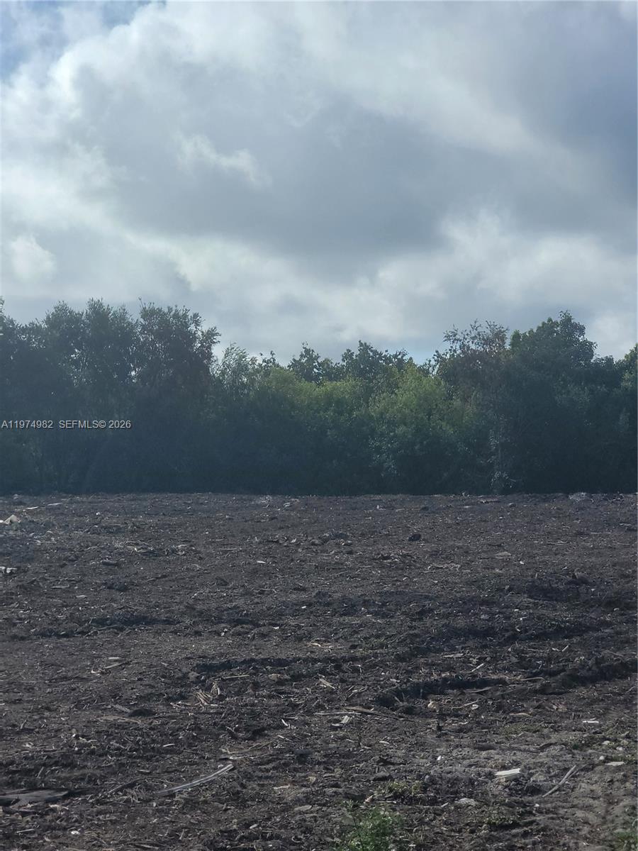 Подробнее / кв.футов $ 2026-03-02 0 Фото